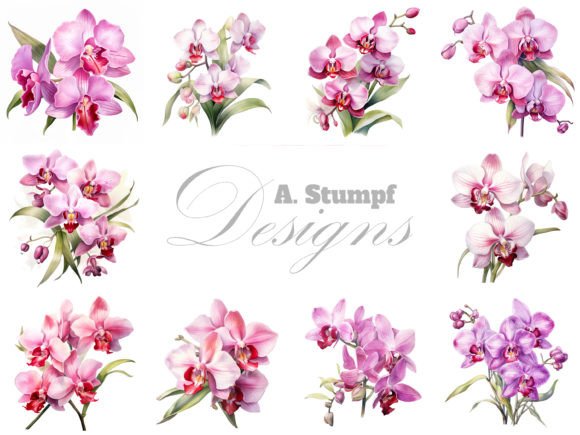 Orchid Watercolor Clipart Bundle: Digital Art for Modern Designers